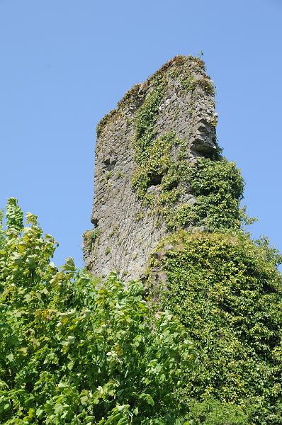 castleconnell castle ruins 1.JPG